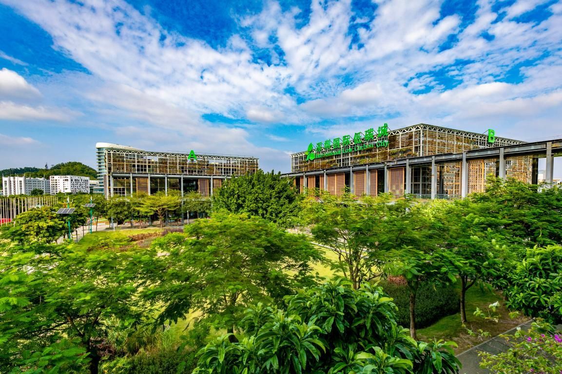 绿茵场上新技术应用，助推中国足球绿色发展的简单介绍