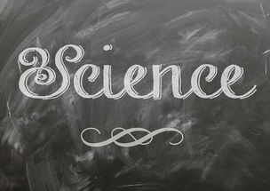 星空体育登录-麦考领袖风范：全黑队胜利的灵魂人物，麦考3个总冠军